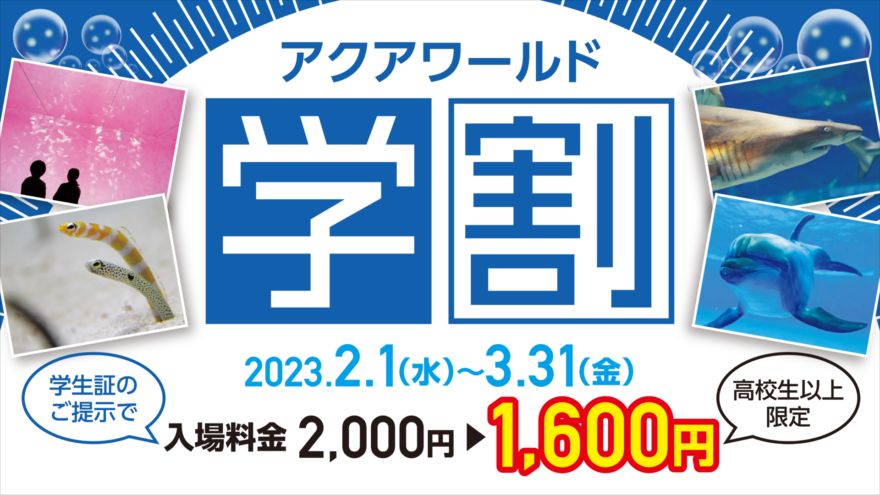 最安値|茨城県大洗水族館 入館チケットを最大25％引で購入する方法